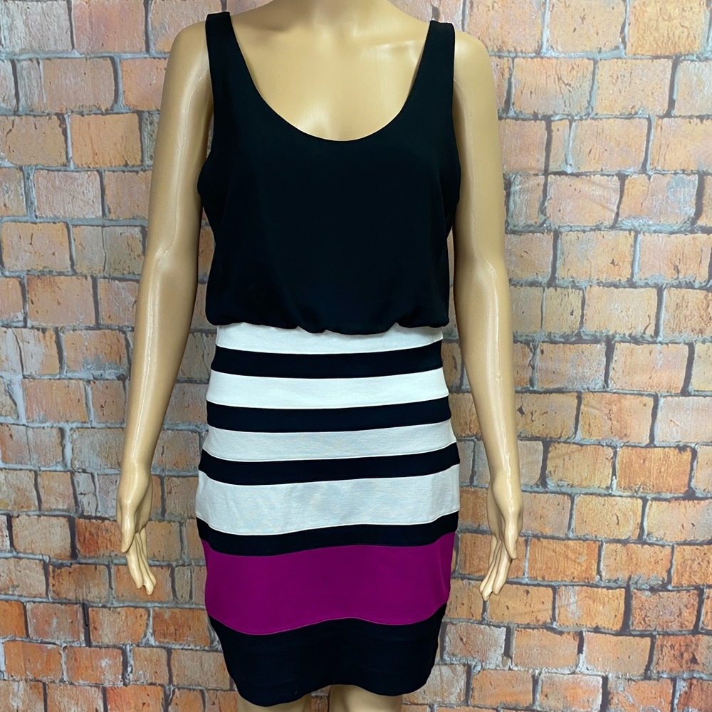 Express‎ Striped Bodycon Dress